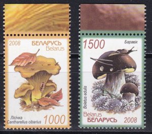 Belarus, Mushrooms MNH / 2008