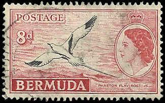 Bermuda - 153 - Used - SCV-0.45