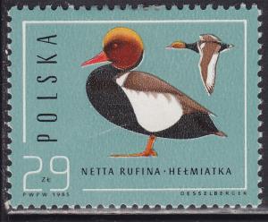 Poland 2703 Wild Ducks, Netta Rufina 29.00zł 1985