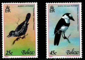 ES-15403 Belize SCOTT 500 & 500b & 500f 1977 birds stamps NH  CV $16