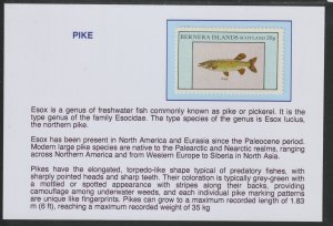 FISH - PIKE  mounted on glossy card with text