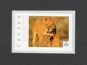 LIONESS WITH CUBS = Picture Postage stamp MNH Canada 2014 [p72ca3/2]