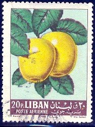 Fruit, Apples, Lebanon stamp SC#C361 used