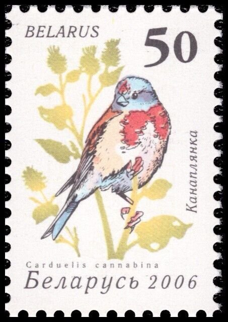 Belarus 2006 Sc 581-592 Bird Wheatear Tit Flycatcher Linnet Whitethroat CV $7.45