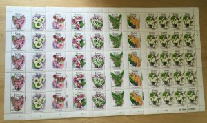 FULL SHEETS Sierra Leone 1994 1741-8 - Orchids - Set of Sheets - MNH
