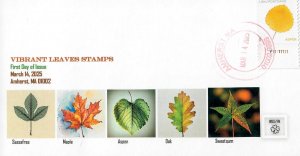 5966 - FDC - Vibrant Leaves Stamps - Aspen - Amherst, Ma 01002-9998 - Bullseye