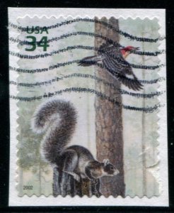 3611c US 34c Longleaf Pine Forest SA , used on paper