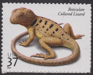 US 3816 Reptiles & Amphibians Reticulate Collared Lizard 37c single MNH 2003