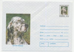 Postal stationery Rumania 1996 Dog - Setter