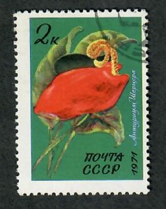 Russia 3925 Flower used single