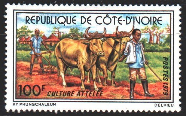 Ivory Coast. 1979. 580. Agriculture, Farmer, Cattle. MLH.