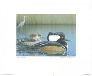 FLORIDA #19  1997 STATE DUCK STAMP PRINT HOODED MERGANSER By Michael Frase