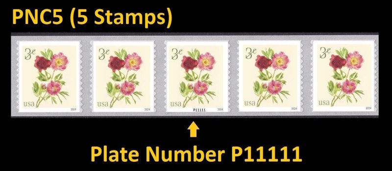 US Flowers Peonies 3c PNC5 P11111 MNH 2024 after 7/31