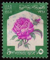 Egypt SG#939 Used - 1967 5m.  - Flowers, Festival