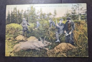 1908 Newfoundland Postcard Cover St Johns to WV USA Deer Hunting NFLD