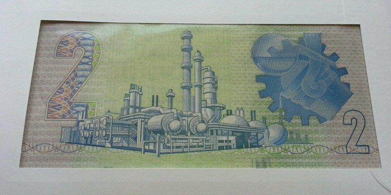 South Africa Cactus 1993 Bird Rice Agricultural Daily FDC (banknote cover) *rare