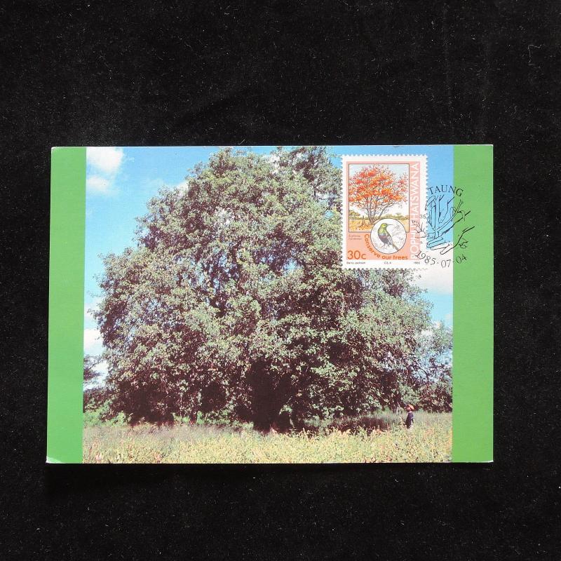 ZG-A573 TREES - Maximum Card, Birds Fdc 1985 Bophuthatswana Cover