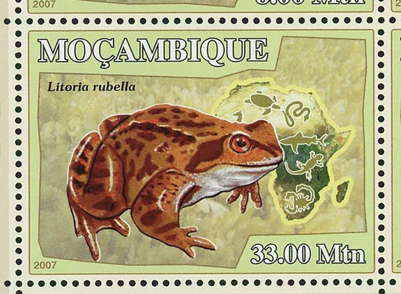 Frogs Stamp Dendrobatidae Mantella Gastrotheca Pyxicephalus S/S MNH #2957-2962