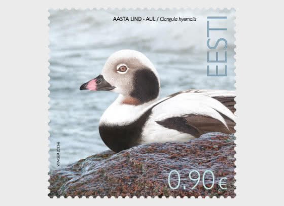 Stamps of Estonia ( pre order) 2023  - Bird of the Year - The Long-Tailed Duck.