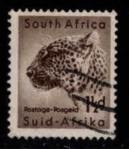 South Africa Scott 202 Leopard stamp