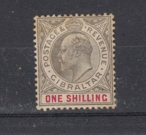 Gibraltar KEVII 1904 1/- SG61 MLH (Slight Tone) JK843