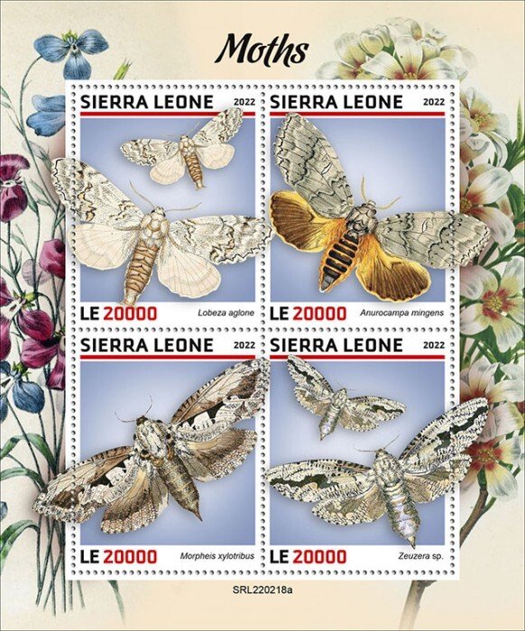 SIERRA LEONE - 2022 - Moths - Perf 4v Sheet - Mint Never Hinged