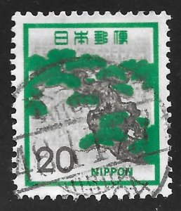 Japan #1071 20y Tree - Pine