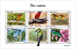 SIERRA LEONE - 2023 - Bee-eaters - Perf 6v Sheet - Mint Never Hinged