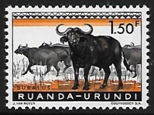 Ruanda-Urundi # 142 - Cape Buffalo - MNH.....{KZw4}