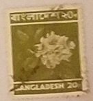 Bangladesh 46