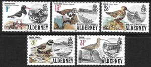 ALDERNEY SCOTT 13-17