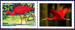 2921a BRAZIL 2004 MANED, BIRDS, RHM C-2564, MNH