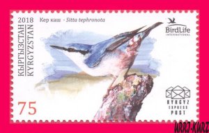 KYRGYZSTAN 2018 Nature Fauna Birds Nuthatch (Sitta tephronota) 1v Mi KEP 95 MNH