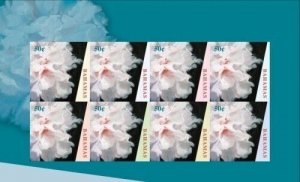 Bahamas 2009 - Flowers - Sheet of 8 Perforated Stamps - Scott #1280 - MNH