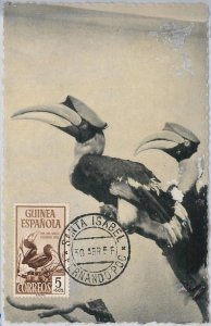 52620 - Spanish GUINEA - MAXIMUM CARD - ANIMALS Birds OSTRRICH 1954-