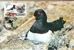 Alderney 13-17 Set of Five Maxi Cards U/A FDC