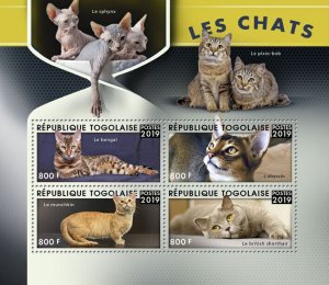 Togo 2019 MNH Cats Stamps Bengal Munchkin British Shorthair Abyssinian Cat 4v MS