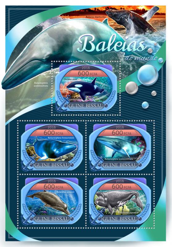 Guinea-Bissau 2016 MNH Whales 5v M/S Killer Whale Marine Animals Stamps