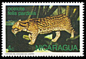 Nicaragua 949, MNH, Ocelot