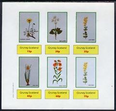 Grunay 1982 Flowers #02 (Chrysantenum, Crocus, etc) imper...