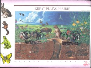 #3506 Great Plains Prairie B Line FDC