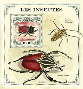 Togo - 2021 Dichotomus Beetles - Stamp Souvenir Sheet - TG210109b