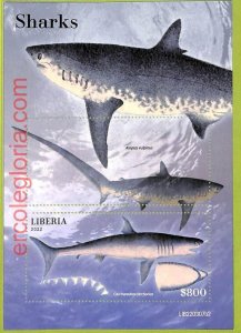 B0514 - LIBERIA - MISPERF ERROR Stamp Sheet - 2022 - Sharks, Marine Life-