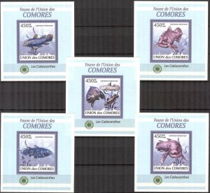 {324} Comoros 2009 Marine Life Fishes Coelacanths 5 S/S Deluxe MNH**