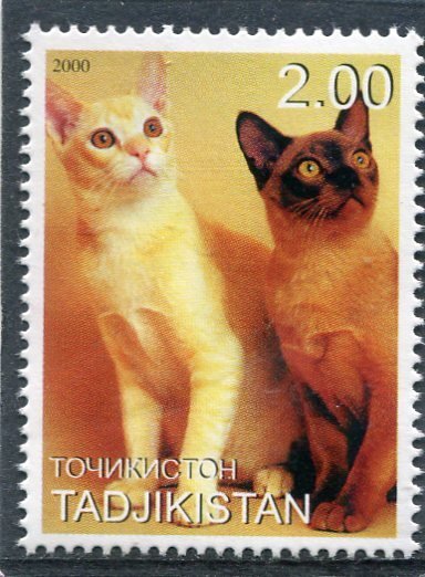 Tajikistan 2000 DOMESTIC CATS 1 value Perforated Mint (NH)