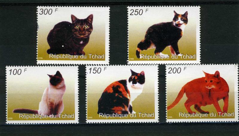 Chad 1998 Domestic Cats set (5) Perforated mnh.vf