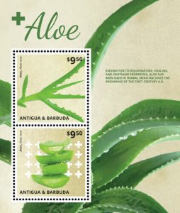 Antigua and Barbuda - 2014 Aloe Souvenir Sheet I - MNH