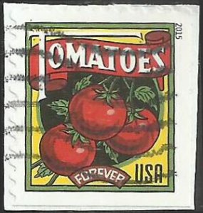 # 5007 Used Summer Harvest Tomatoes