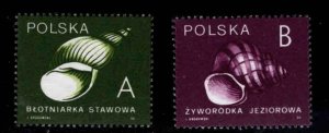 Poland Scott 2973-2974 MNH**  Shell stamp set