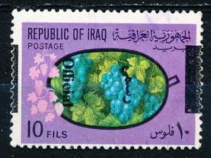 Iraq #O241 Single Used